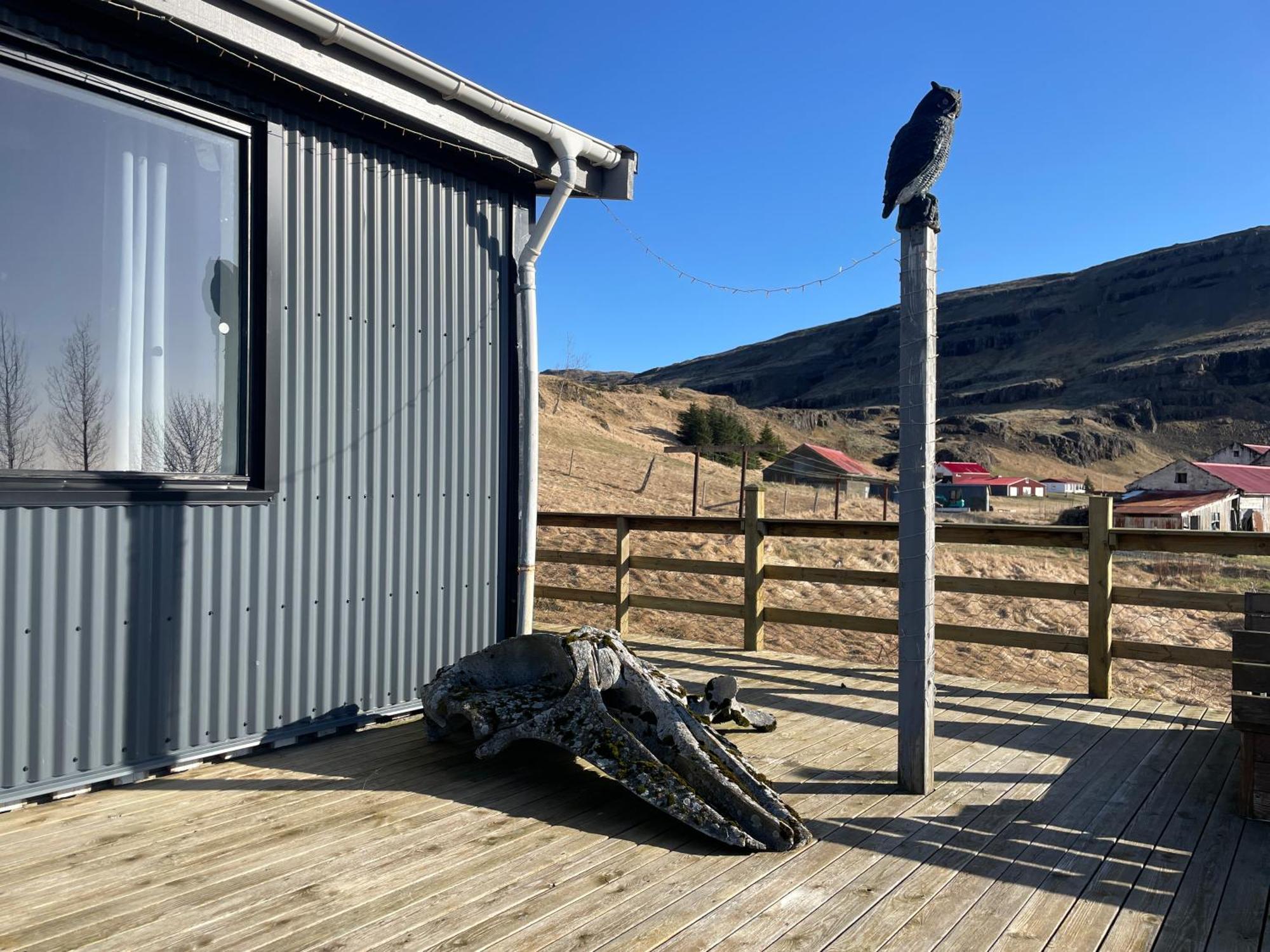 Laekjarhus Farm Holidays Borgarhöfn Zewnętrze zdjęcie