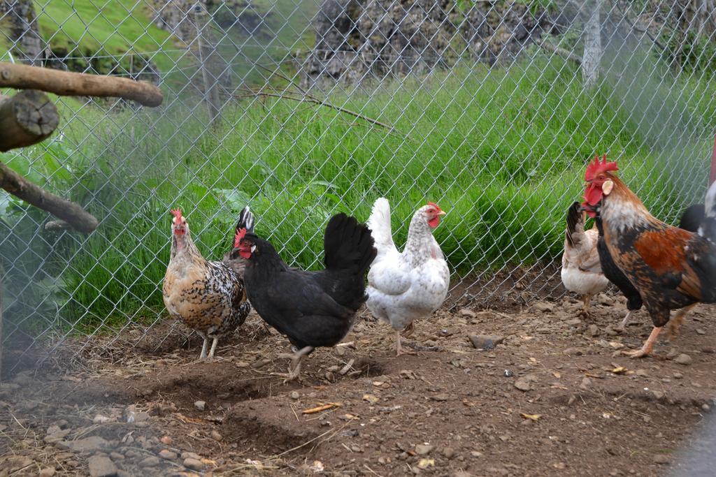 Laekjarhus Farm Holidays Borgarhöfn Zewnętrze zdjęcie